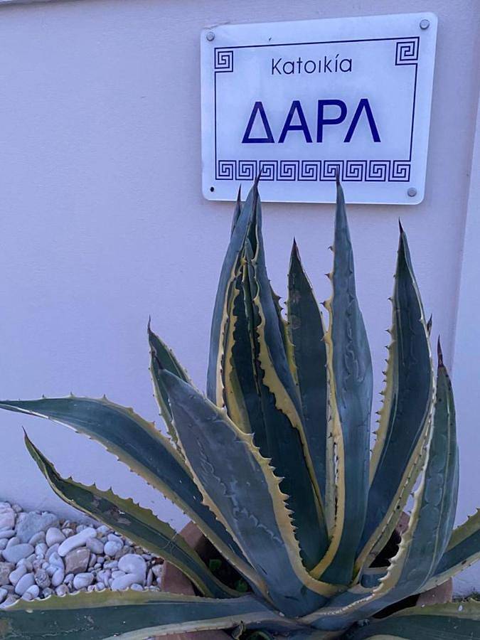 Location de vacances pour 5 personnes, avec piscine ainsi que jardin et vue, animaux acceptés dans Acharavi - 3