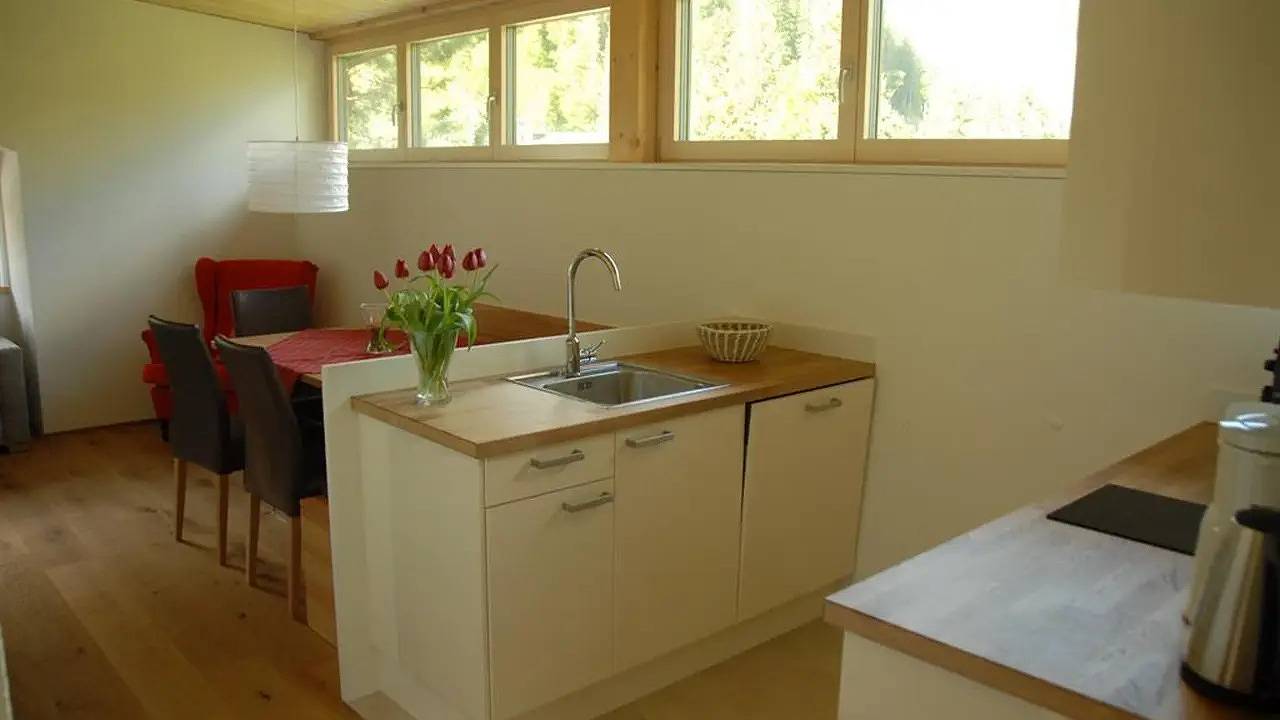 Ganze Ferienwohnung, Ferienwohnung für 6 Personen (70 m²) in Heimboden in Schröcken, Bregenzerwald