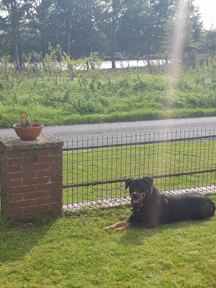 Ferienhaus für 4 Personen, mit Ausblick und Garten sowie Terrasse, mit Haustier in Offenbüttel