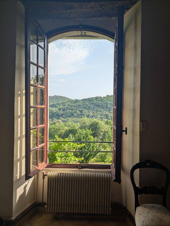 Location de vacances pour 12 personnes, avec jardin ainsi que piscine et vue à Monoblet - 2