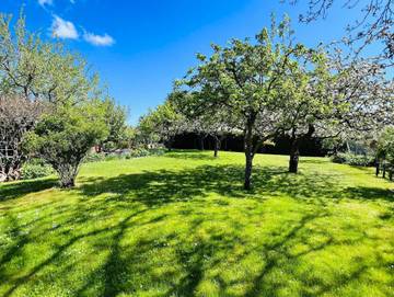Ferienhaus für 2 Personen in Lancken-Granitz, Rügen, Bild 4