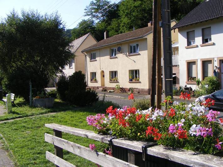 Gîte pour 4 personnes, avec vue, animaux acceptés à Lutzelbourg