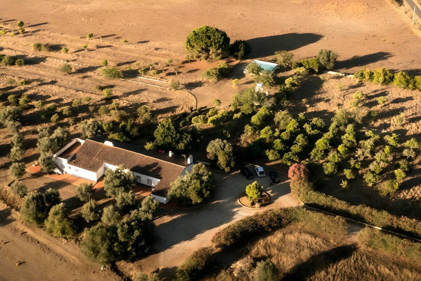Casa Bungavilia - Roots of Alentejo in Alvito, Beja Distrikt