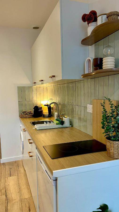 Gîte pour 3 personnes, avec balcon à Saint-Chamond - 2