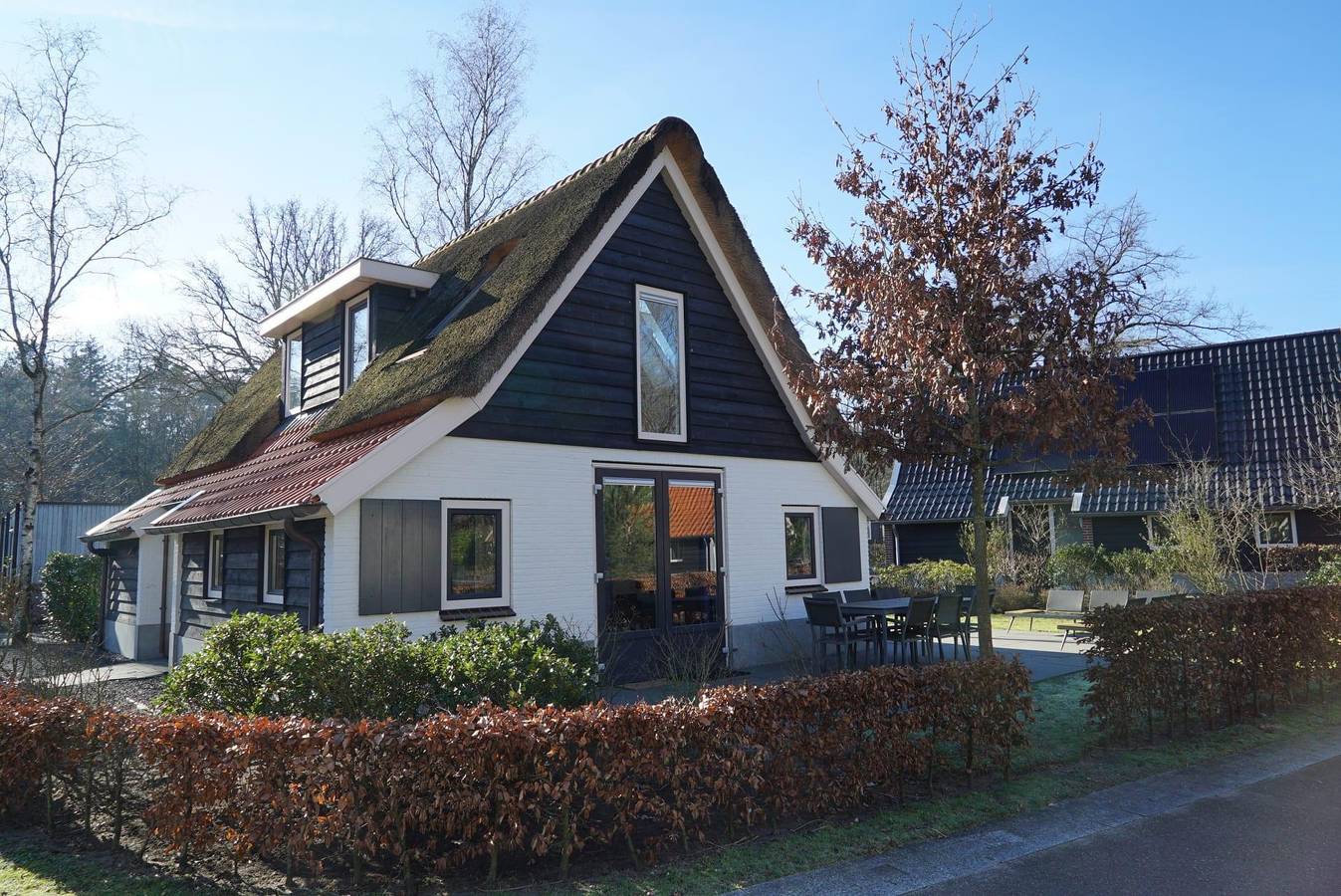 Europarcs Hooge Veluwe — Villa Veluwe Plus 8 in Hoge Veluwe