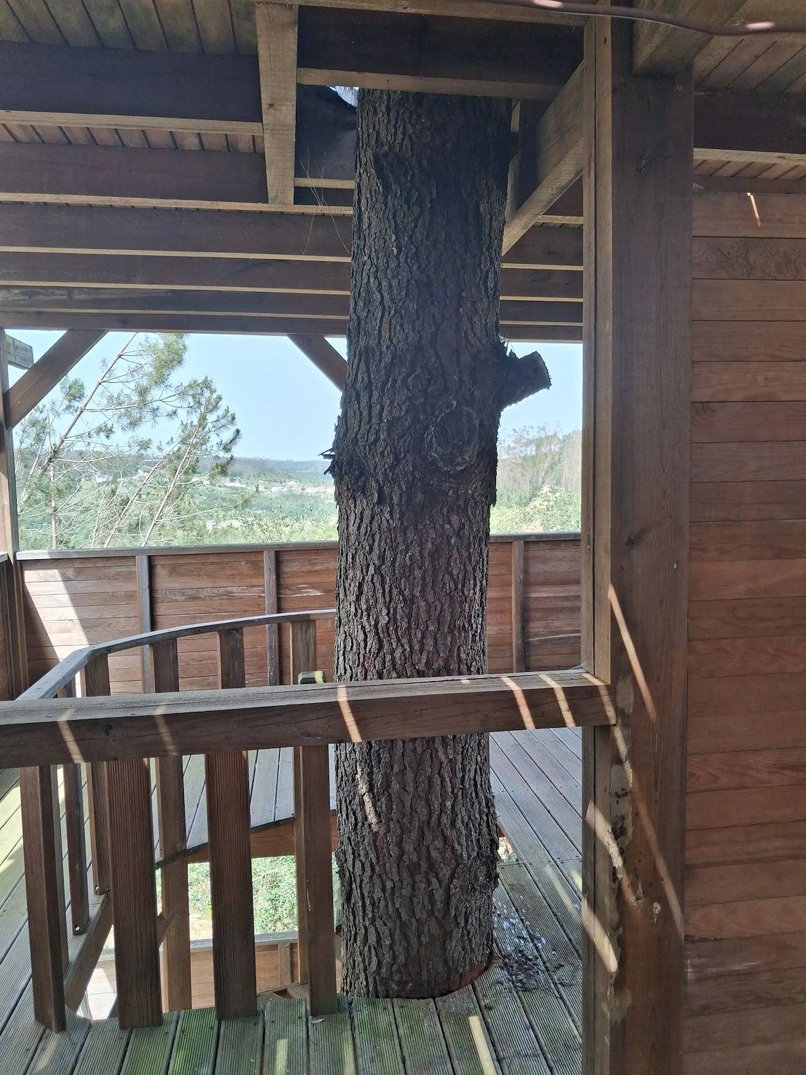 Ganzes Studio, Charmantes Studio in Matas mit Schwimmbad, 20 m² in Matas e Cercal, Santarém Distrikt