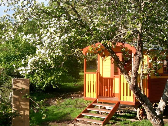 Chambre d’hôte pour 4 personnes, avec jardin - 1