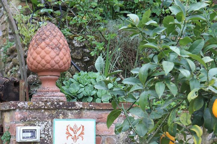 Under The Tuscan Sun in Scandicci, Firenze province