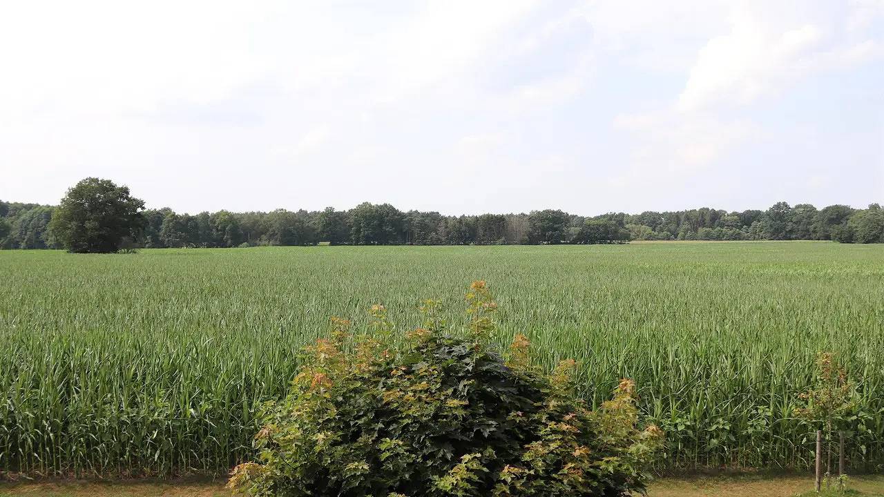 Ganze Ferienwohnung, Ferienwohnung für 2 Personen (24 m²) in Neuenkirchen in Neuenkirchen (Lüneburger Heide), Landkreis Heidekreis