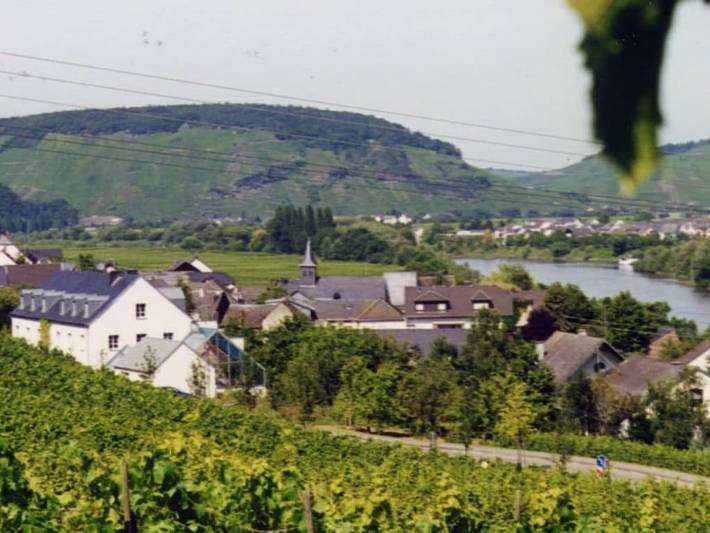 Ferienhaus für 4 Personen, mit Terrasse und Garten, mit Haustier in Schweich an der Römischen Weinstraße