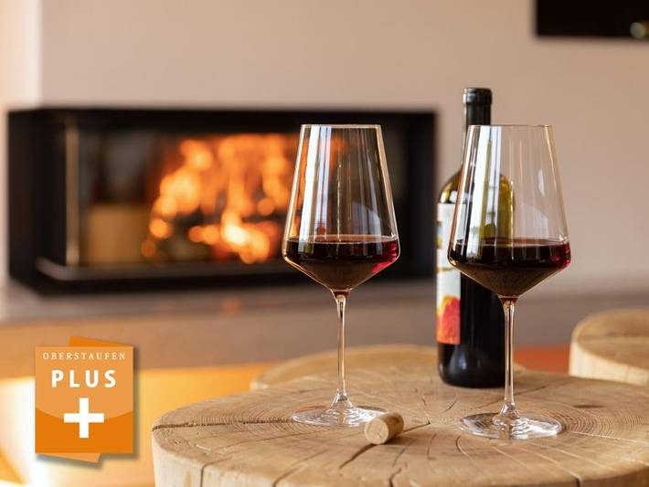 Ferienhaus für 18 Personen, mit Ausblick und Sauna sowie Garten - 1