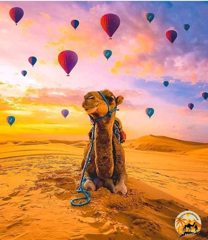 Camping für 2 Personen, mit Ausblick in Marokko