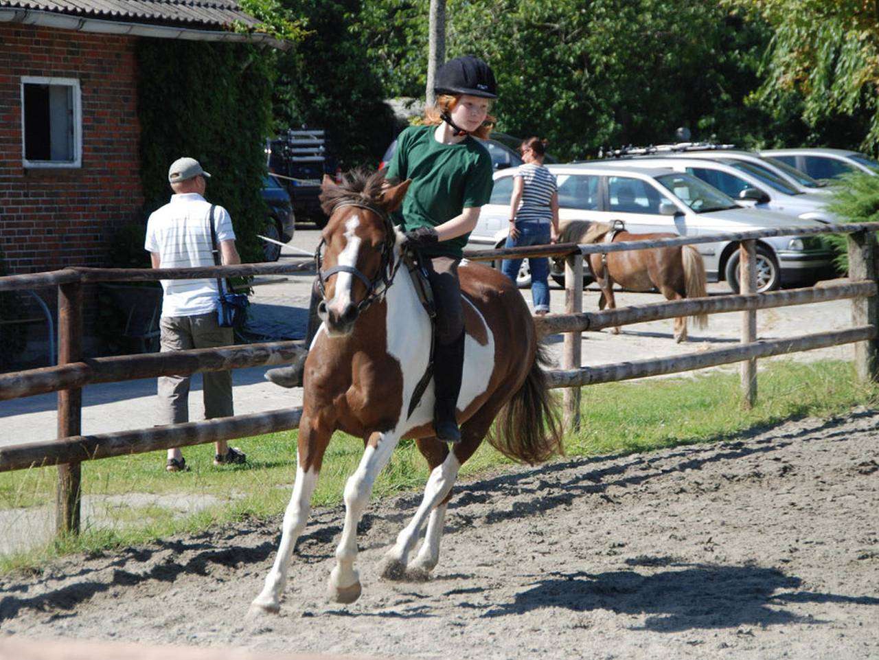 Bild 1
