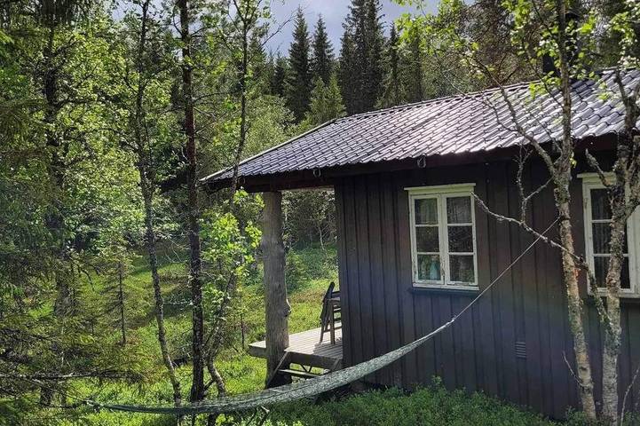Cozy Lakeside Cottage - in the middle of the forest in Snåsa