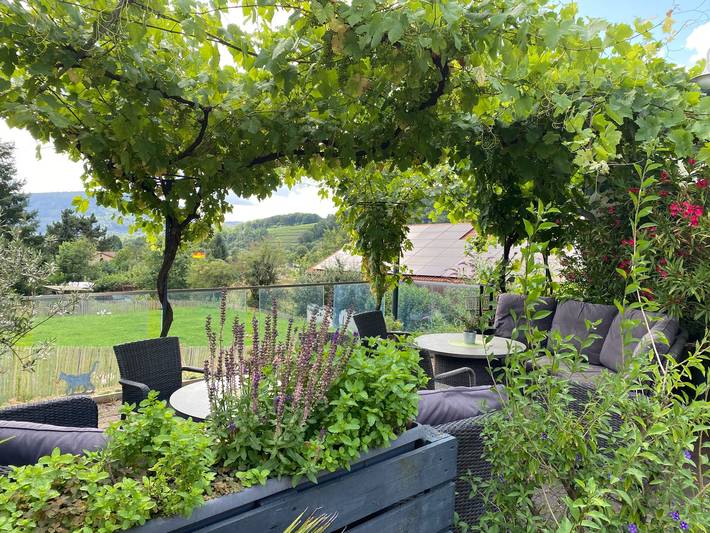 Ferienwohnung für 6 Personen, mit Balkon und Balkon/Terrasse sowie Terrasse in Main-Odenwald - 3