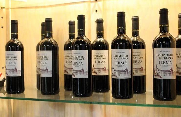 Hotel para 3 personas, con terraza, Se admiten mascotas en Provincia de Burgos - 2