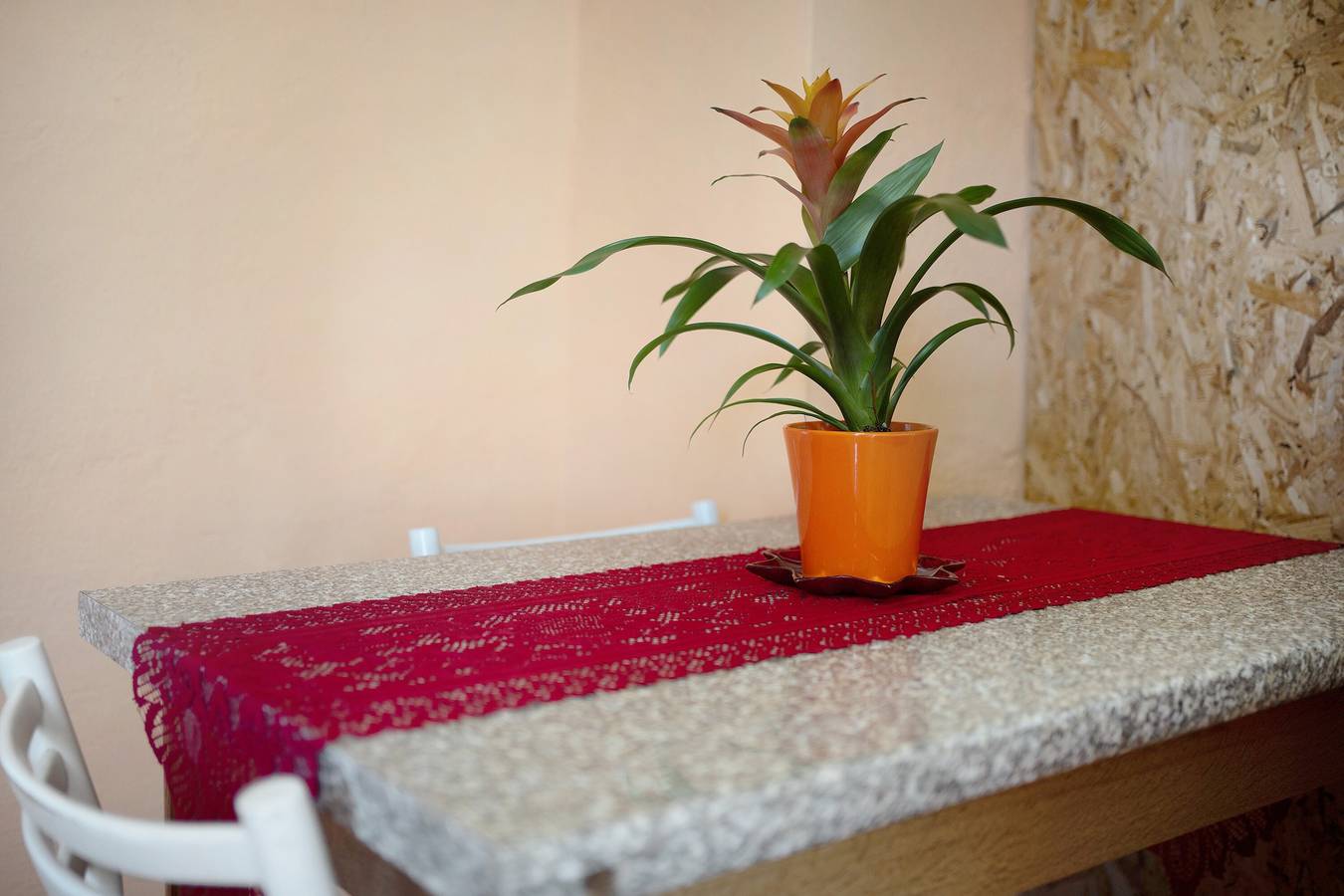 Appartement entier, Appartement "Casa Vita" avec vue sur la mer, jardin privé et Wi-Fi in Vallebona, Riviera di Ponente