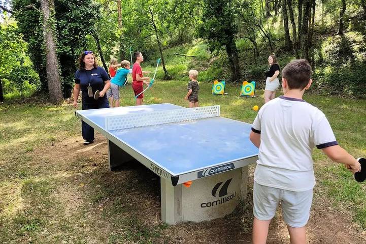 Mobil home pour 6 personnes à Thonac - 4