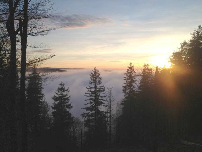 Gîte pour 5 personnes, avec jardin et vue, animaux acceptés dans Station du Champ du Feu - 3