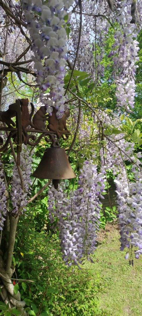 Gîte La Longère de Brocéliande in Paimpont, Région de Rennes