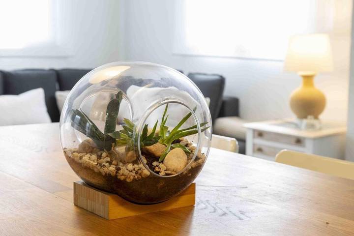 Casa rural para 5 personas, con terraza y vistas, Se admiten mascotas en Quirós - 3
