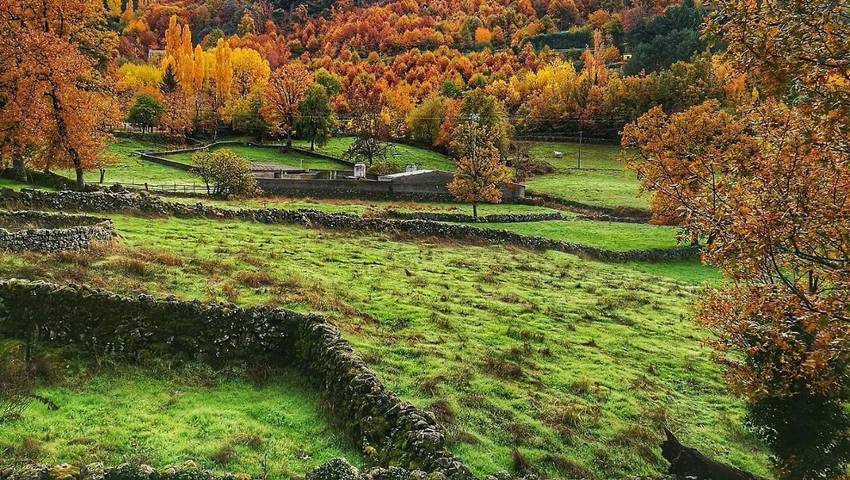 Casa rural para 7 personas, con Balcón y Terraza además de Jardín y Piscina en Valle del Ambroz - 3