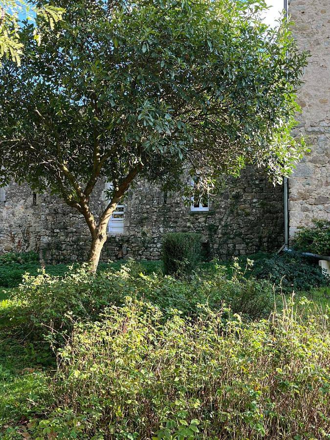 Gîte pour 5 personnes, avec terrasse et jardin, animaux acceptés à Montréal (Rhône-Alpes) - 4