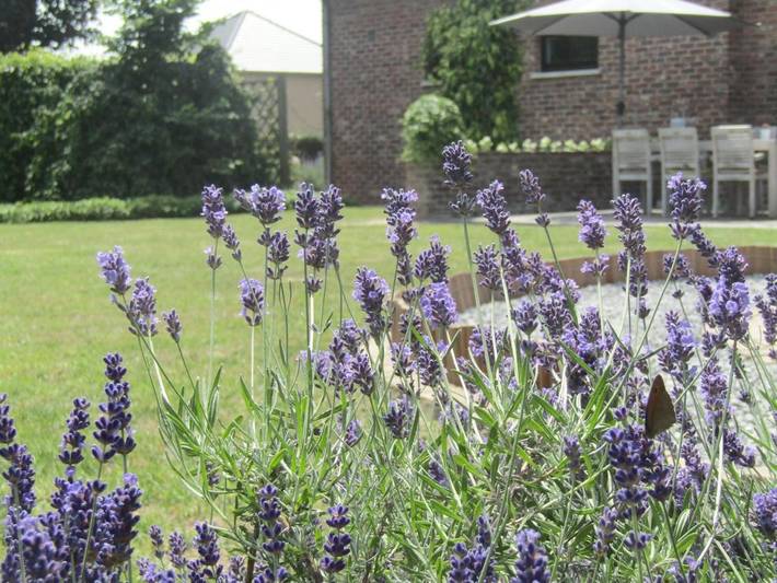 Location de vacances pour 8 personnes, avec jardin et vue à Bilzen - 4