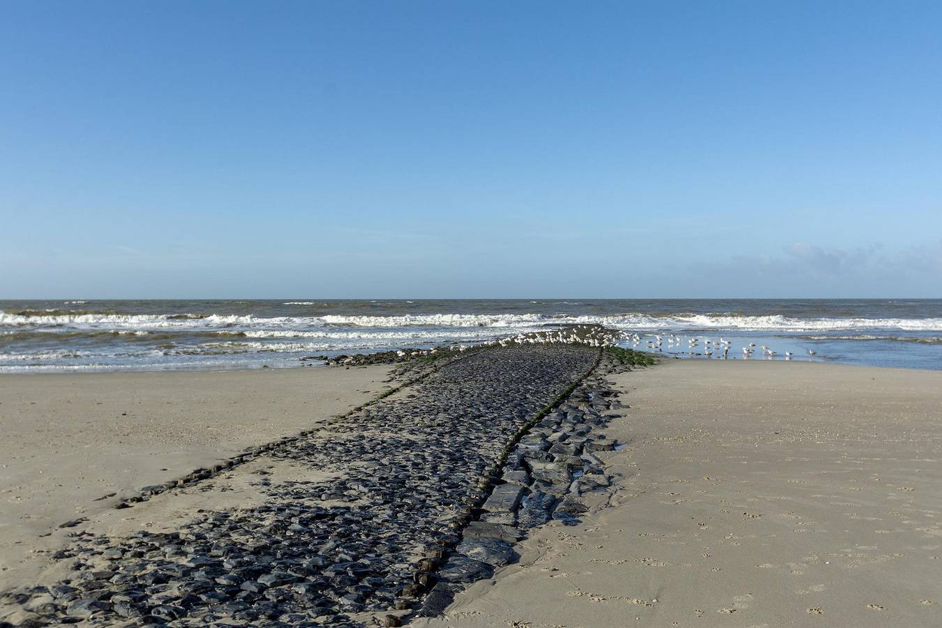 Callinghe Vakanties — Wijde Blick 203 in Callantsoog, Niederländische Nordsee