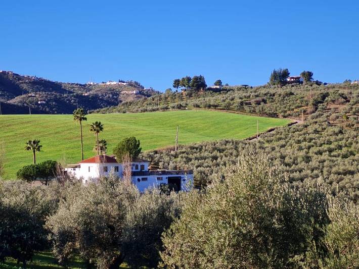 Cama y desayuno para 8 personas, con Terraza y Jardín además de Piscina y Vistas en Colmenar