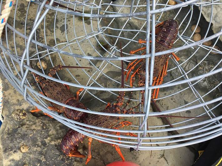 Holiday home for 8 people in Wellington