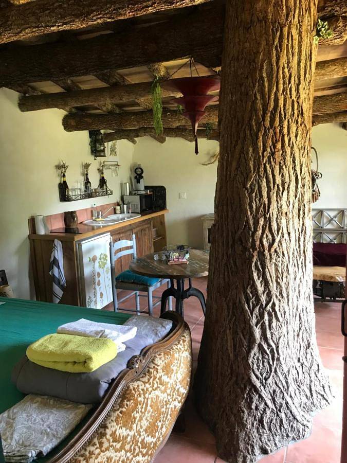 Maison de hobbit montcuq in Montcuq-en-Quercy-Blanc, Quercy
