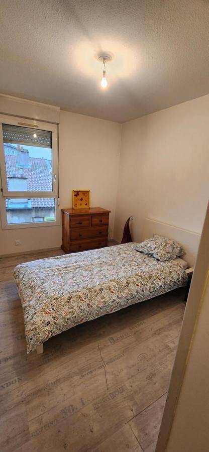 Gîte pour 3 personnes, avec terrasse, animaux acceptés à Saint-Laurent-sur-Saône - 2