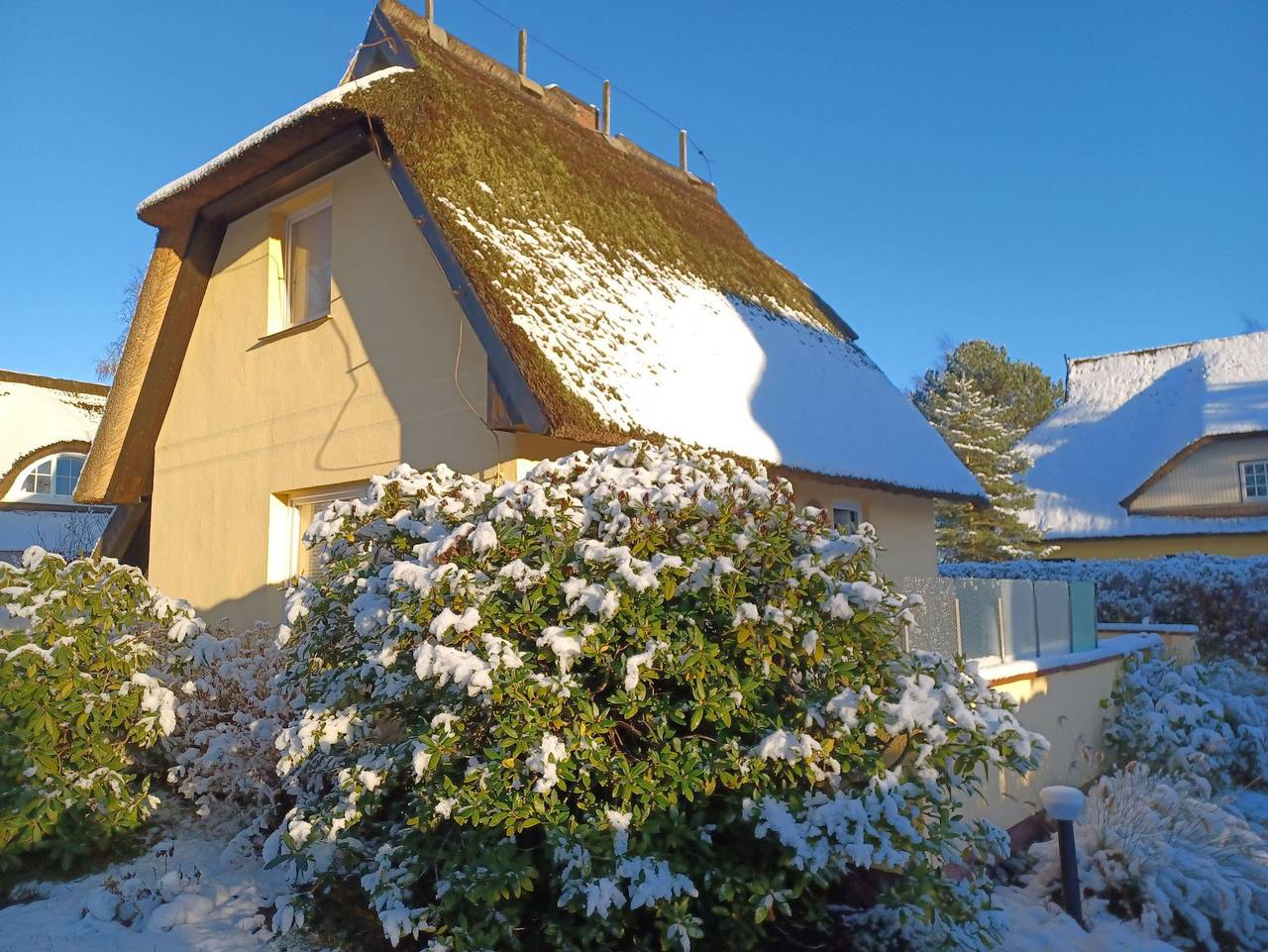 Ganze Ferienwohnung, Haus Seestern - Haus Seestern in Ahrenshoop, Fischland