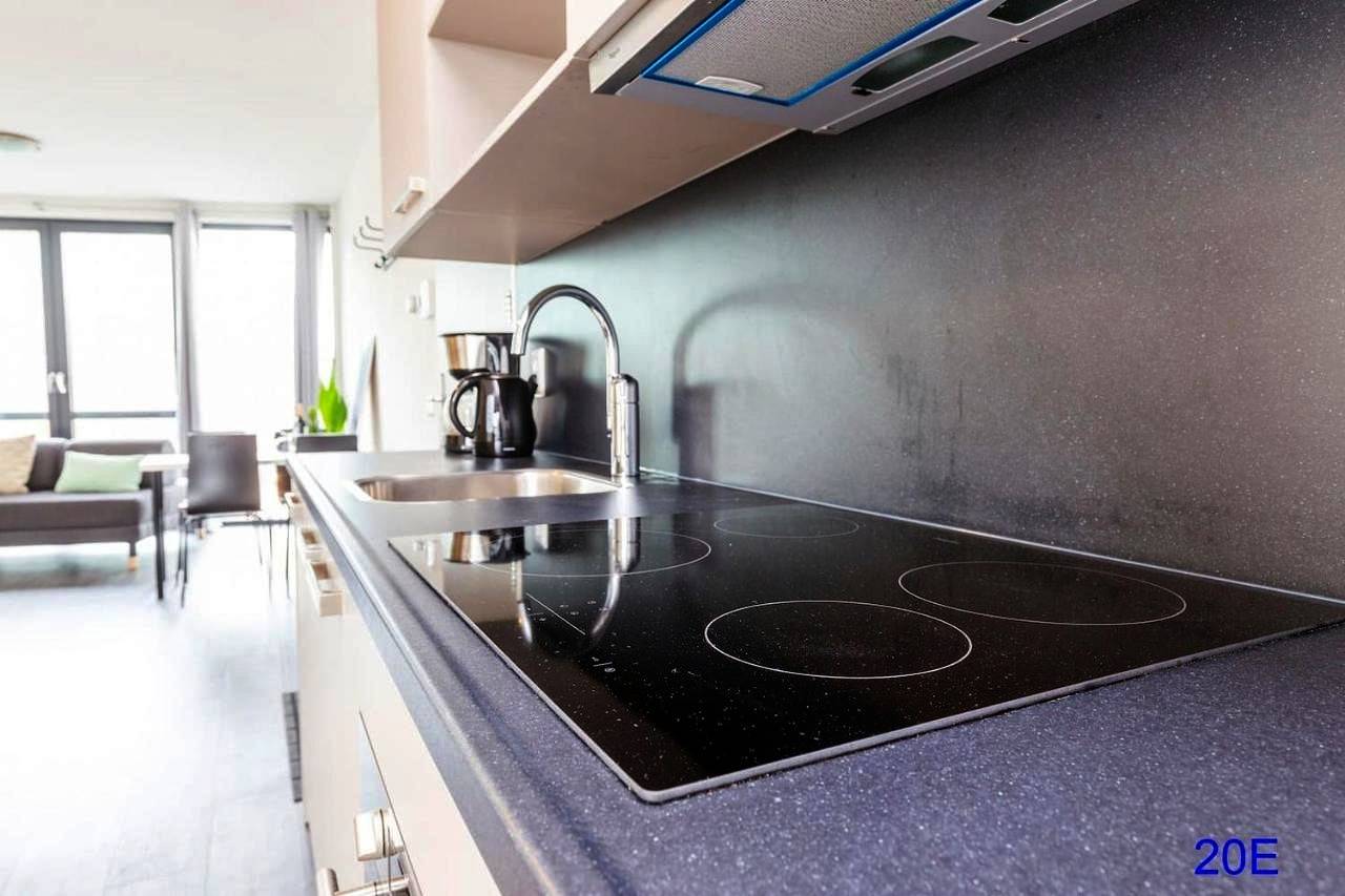 Geheel appartement, One-Bedroom Apartment in Delft, Stadsgewest Haaglanden