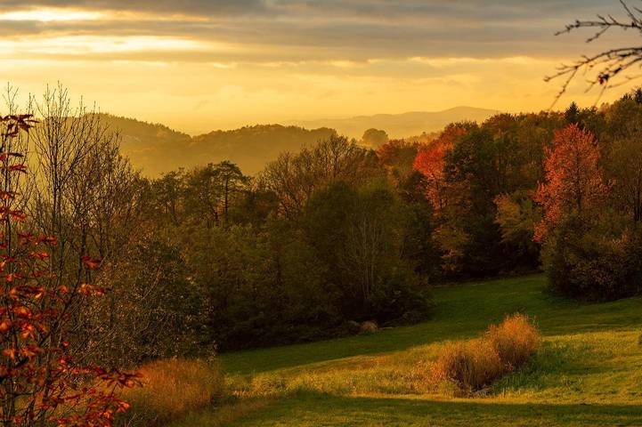 Ferienhaus für 3 Personen, mit Garten, kinderfreundlich in Landkreis Freyung-Grafenau - 2