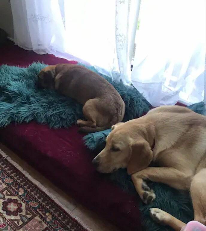 Vakantiehuis voor 4 personen, met tuin en whirlpool in Sydney