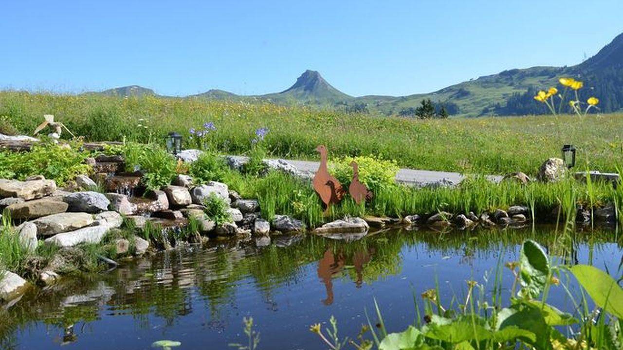 Ganze Ferienwohnung, Ferienwohnung für 6 Personen (60 m²) in Damüls in Damüls, Bregenzerwald