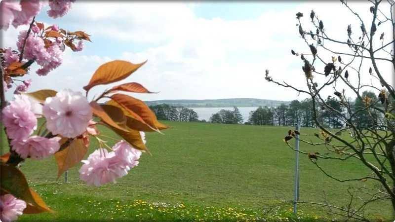 Apartamento de vacaciones para 3 personas, con jardín además de terraza y vistas al lago - 1