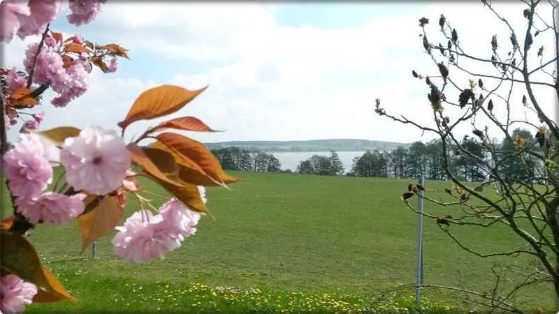 Apartamento de vacaciones para 3 personas, con vistas al lago además de jardín y terraza - 1