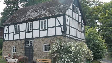 Chalet für 4 Personen, mit Balkon im Sauerland