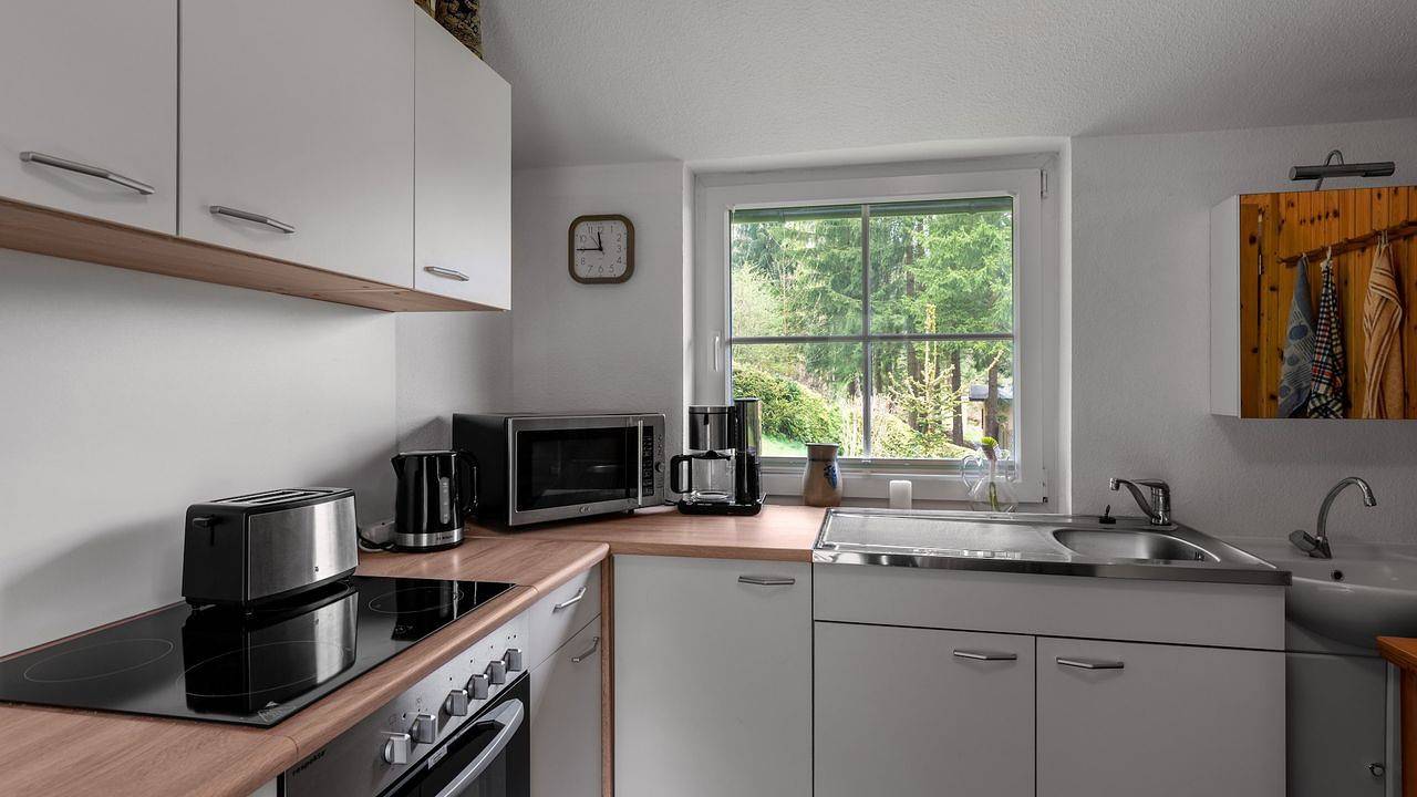 Ferienhaus für 3 Personen (70 m²) in Steinbach-Hallenberg in Steinbach-Hallenberg, Rennsteig