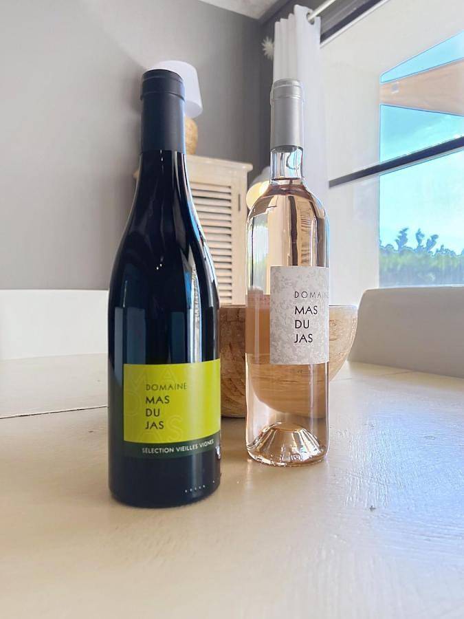 Location de vacances pour 11 personnes, avec vue et jardin ainsi que terrasse et piscine, animaux acceptés à Puyméras - 4