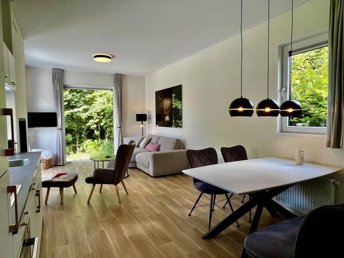 Ferienhaus für 5 Personen, mit Terrasse und Sauna sowie Pool und Garten in Sint Maartensvlotbrug - 3