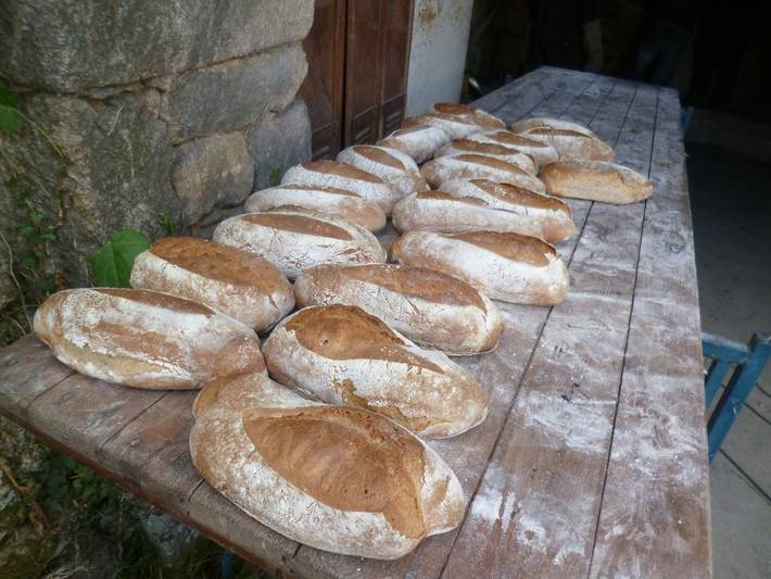 Gîte pour 2 personnes, avec jardin dans le Morbihan - 3