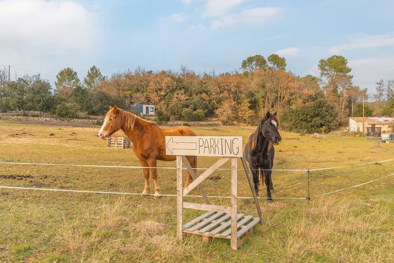 Studio entier, Maison d'hôtes 'La Cabane Aux Chevaux' avec jardin privé in Varages, Région de Brignoles