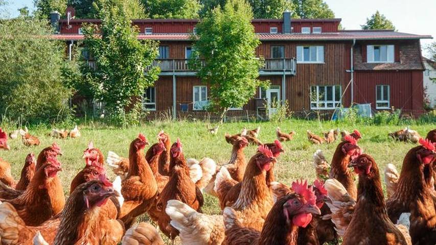 Bauernhof für 2 Personen, mit Garten in Mecklenburg-Schwerin