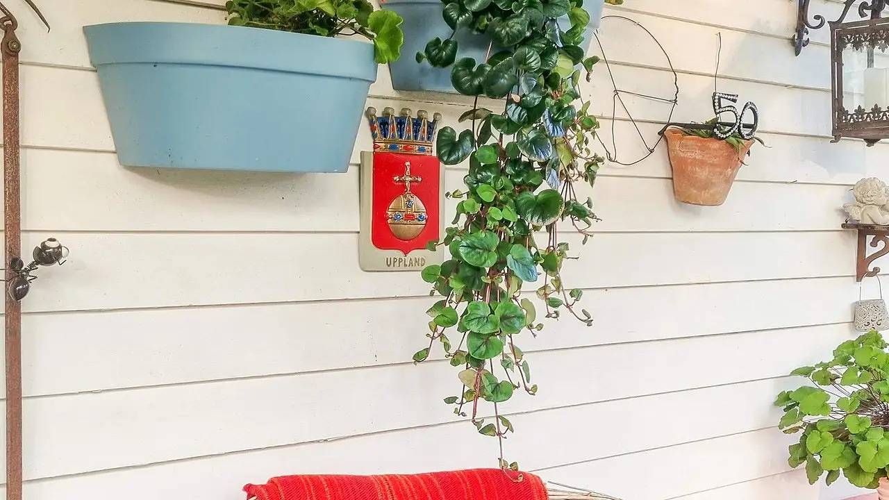 Ferienhaus für 5 Personen (67 m²) in Hallstavik in Stockholm und Umgebung
