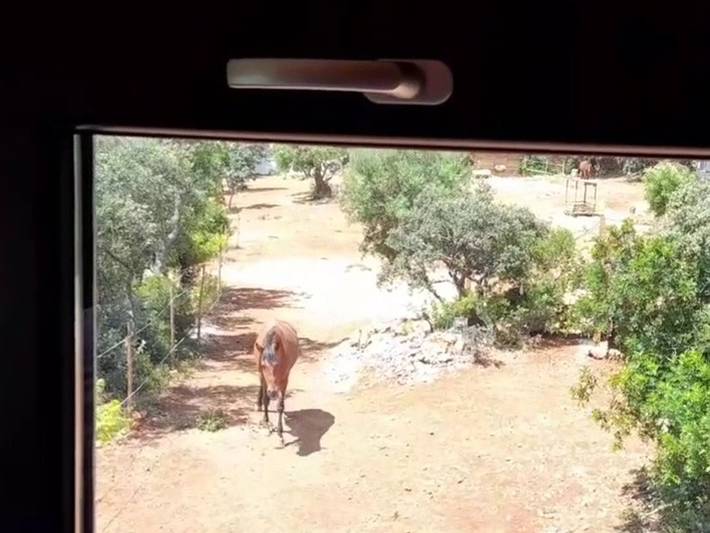 Casa rural para 3 personas, con vistas además de balcón y jardín en Algarve - 4