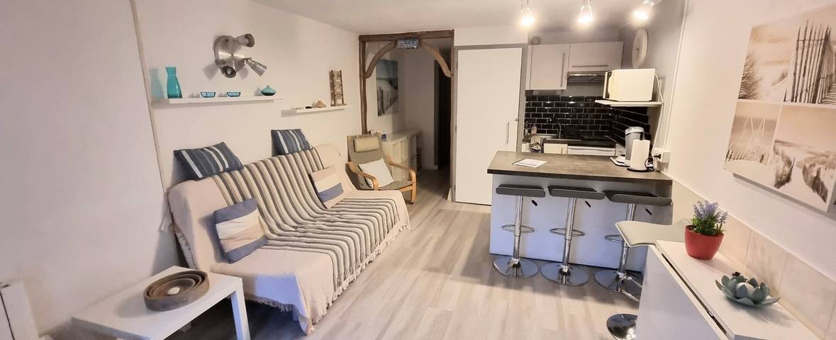 Ganze Wohnung, Appartement für 4 Personen nahe dem Strand in Vert-Bois, Dolus-d'Oléron